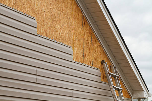 Professional Siding Repair technician working in Clifton, CO